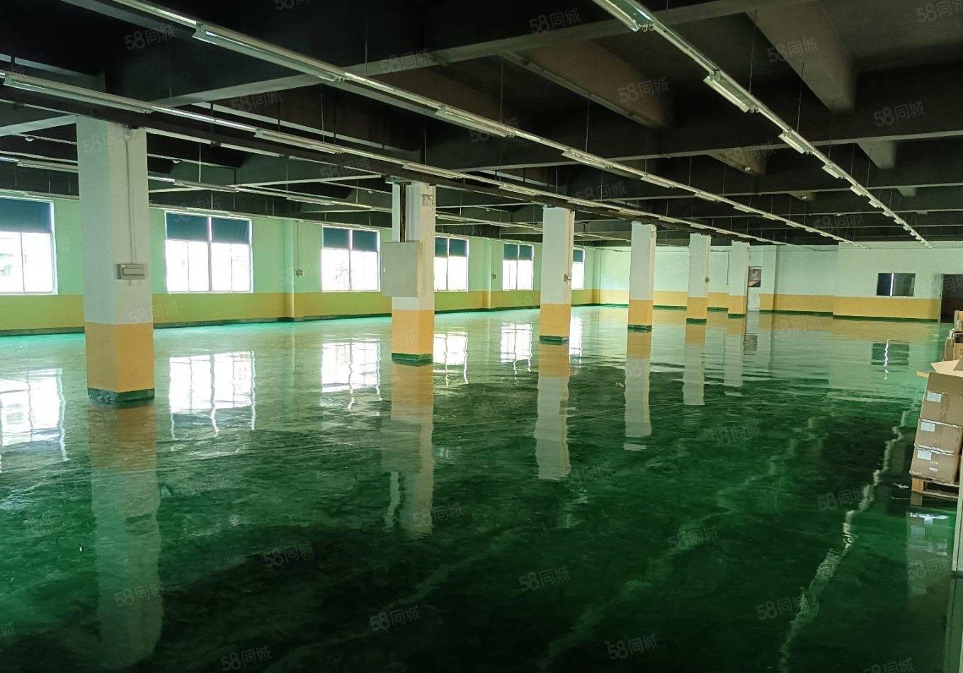 100平起分石岩原房东低价园区厂房一楼600平出租形象好