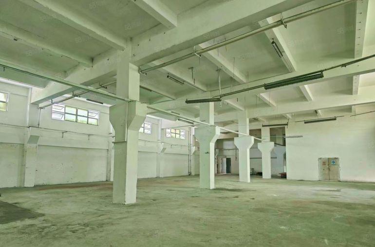 高6米33元每平一楼1000平500平起租大园区货车出入无优