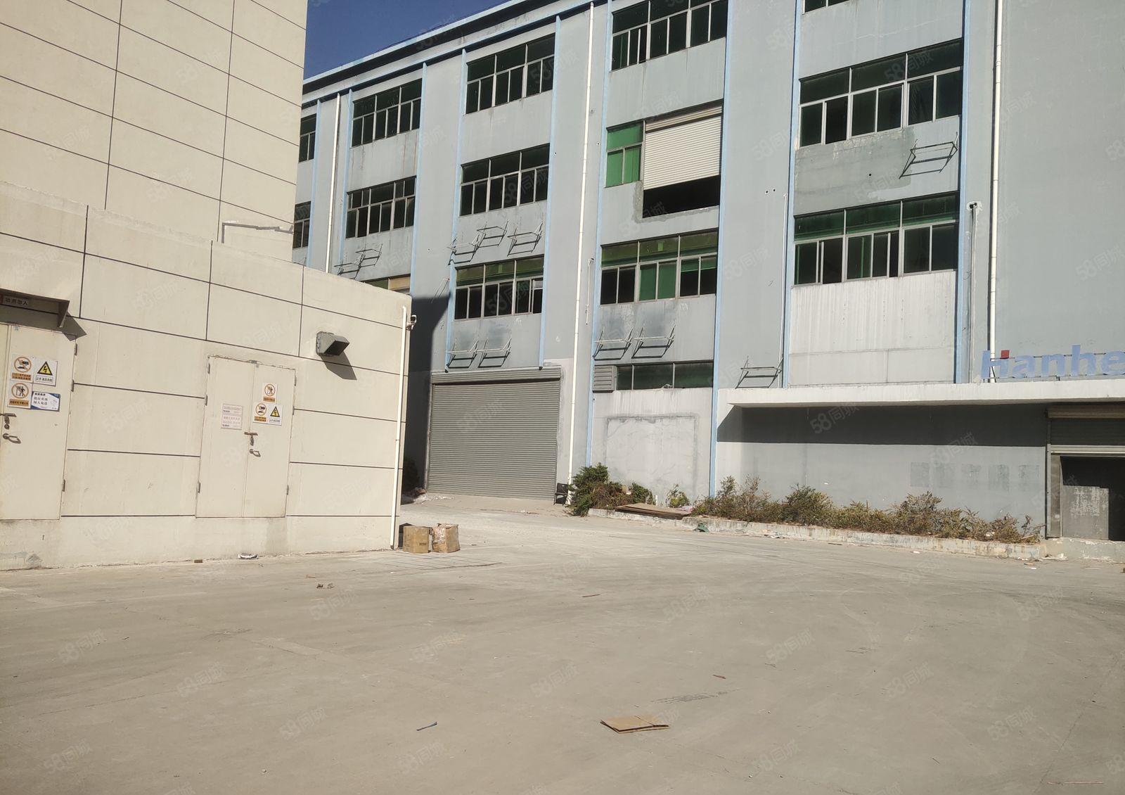 独门独院原房东出租9500平方带红本厂房