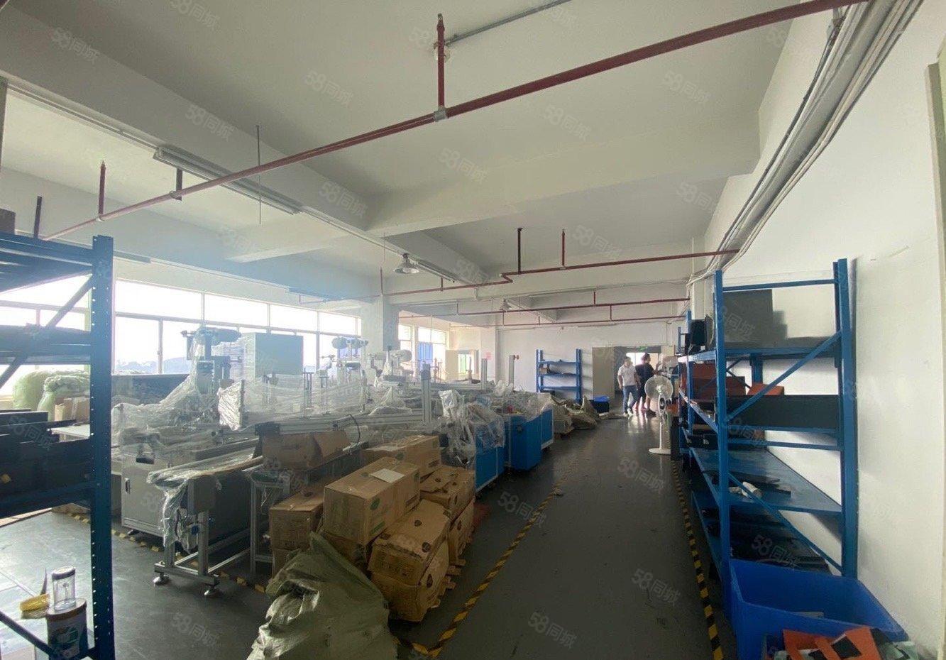 石岩龙大高速口楼上720平原房东精装修红本厂房出租