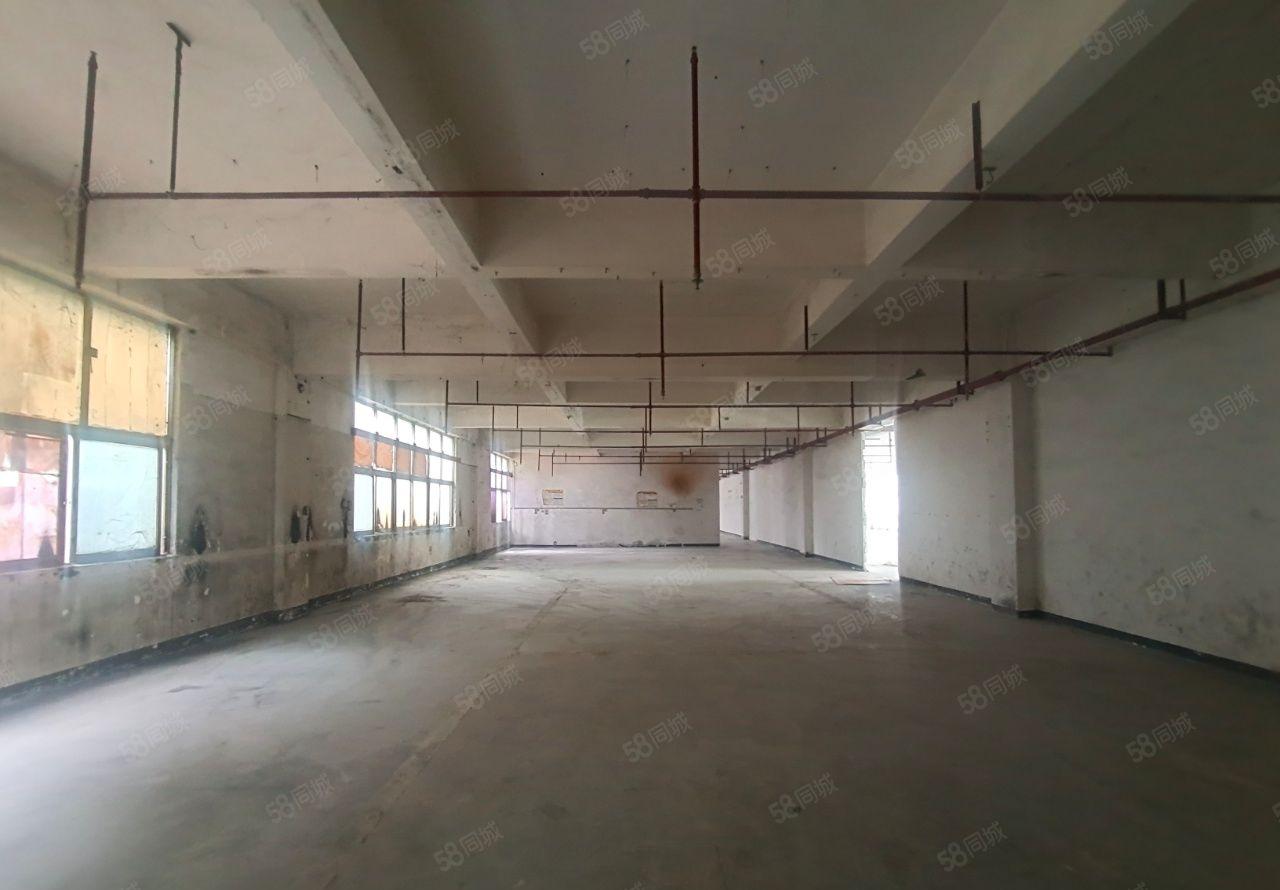 松岗地铁口旁独门独院21000平厂房出租，可分租，正在翻新