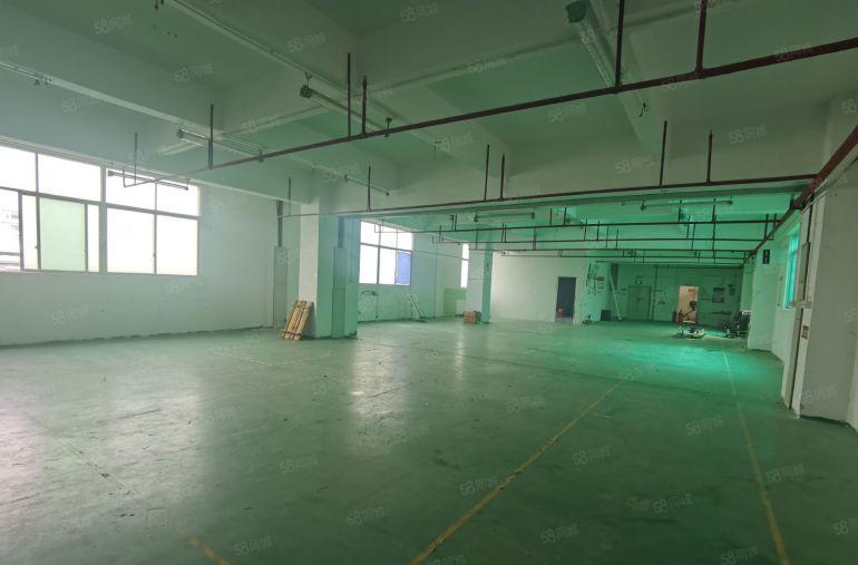 西乡固戍南昌附近一手房东直租425平面积实用