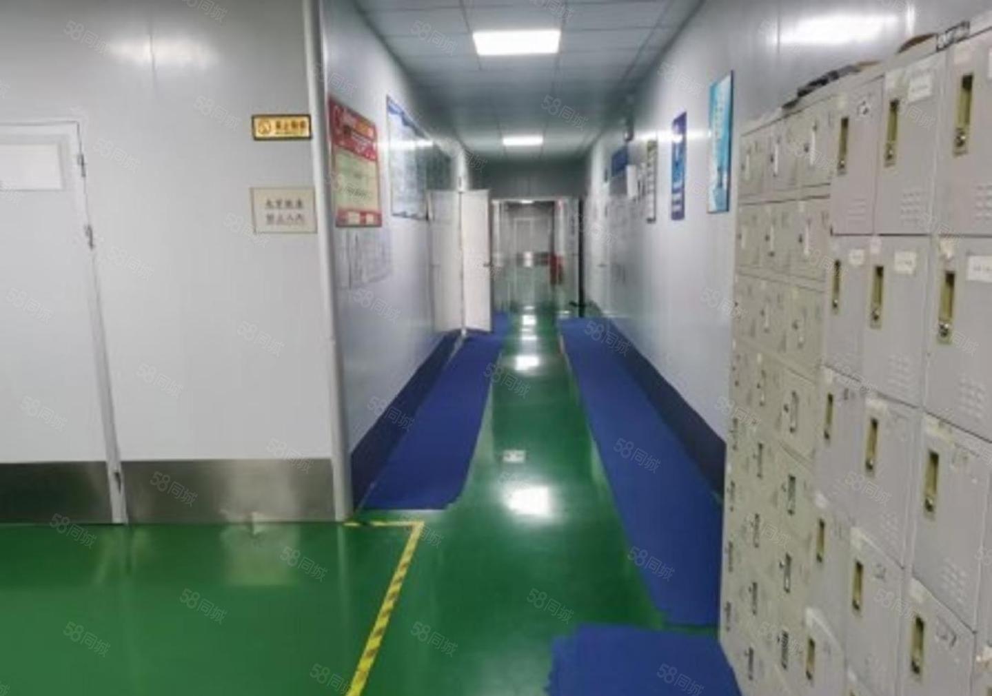 松岗罗田原房东整层2300平厂房出租 无尘车间 豪华精装修