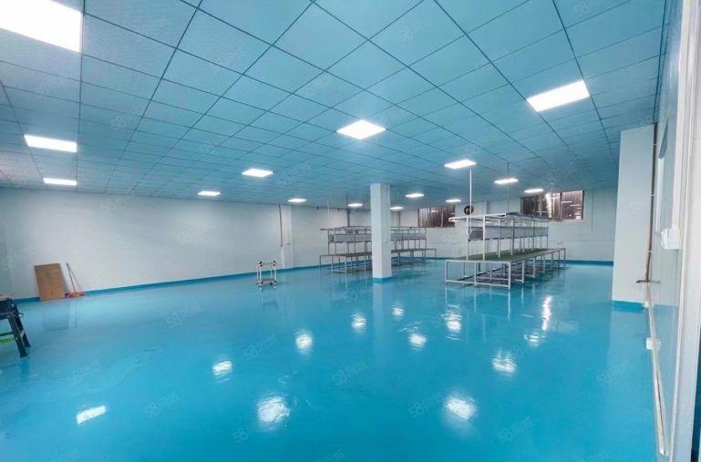 石岩原房东红本科技园500平豪华精装修厂房出租可分租