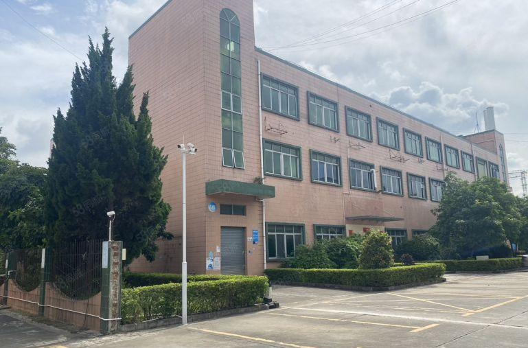 沙井后亭电梯口原房东独门独院500平带精装修有前台办公室