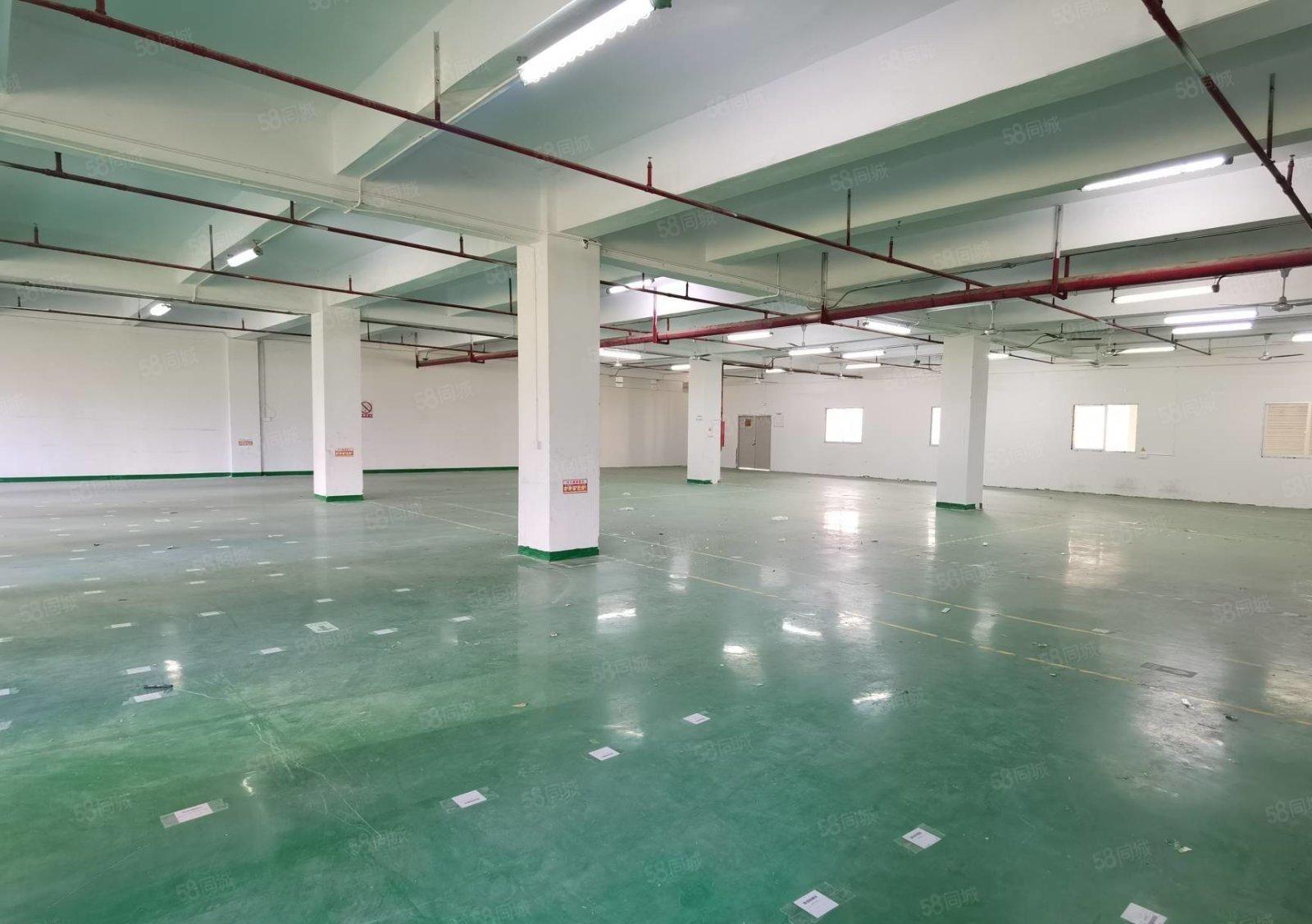 石岩新出楼上900平原房东精装修厂房出租可分租