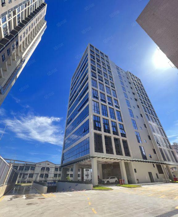 福永新型厂房国道旁1500平全新标准厂房高新补贴装修