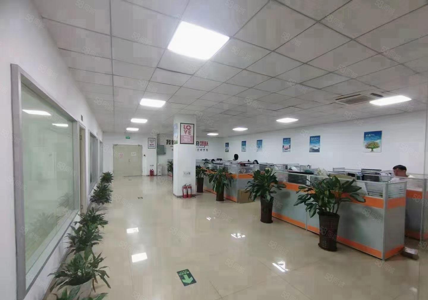 九围勒竹角2000平米带装修厂房出租