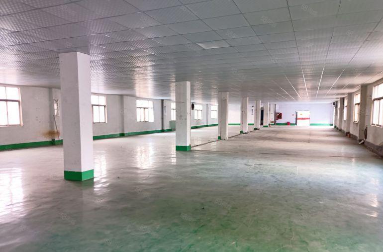 500平起租石岩地铁口附近独院4800平原房东红本过环评