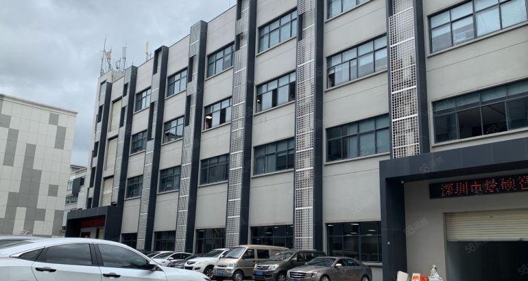 出租石岩石龙仔红本厂房600平起合同5年带喷淋原房东带装修