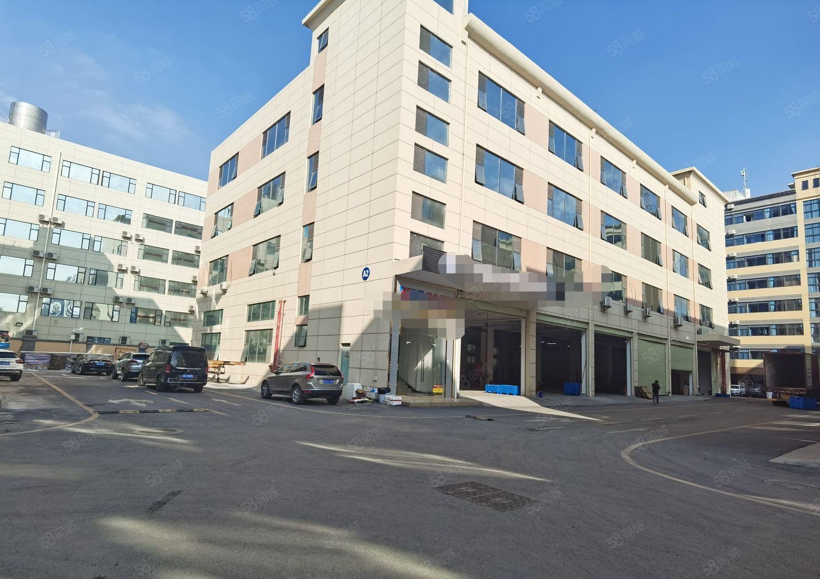 松岗原房东带红本独院独栋2000平仓库厂房出租500平起分租