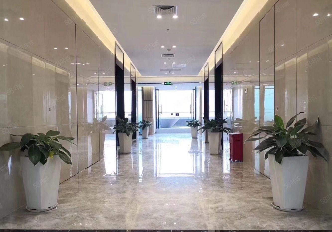 创维223平米带豪华装修厂房出租