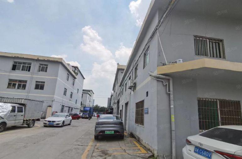 沙井新出一楼190平水电到位