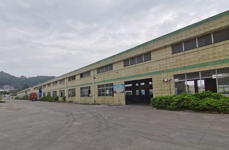 松岗107国道2万平方一楼单一层钢构低价厂房仓库出租行业不限