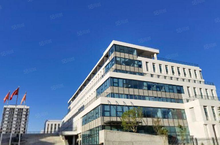 西乡宝安大道1000平方临街汽修4s展厅低价出租大小分租整租