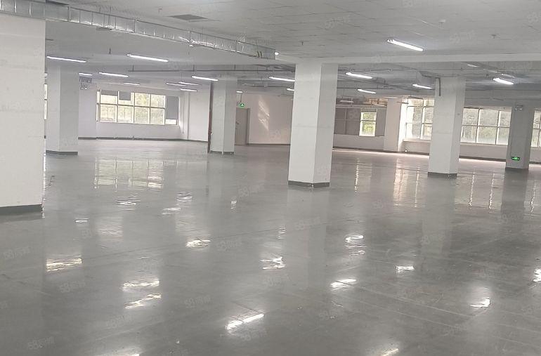 园区5015000平方大小分租一楼厂房招租有补贴