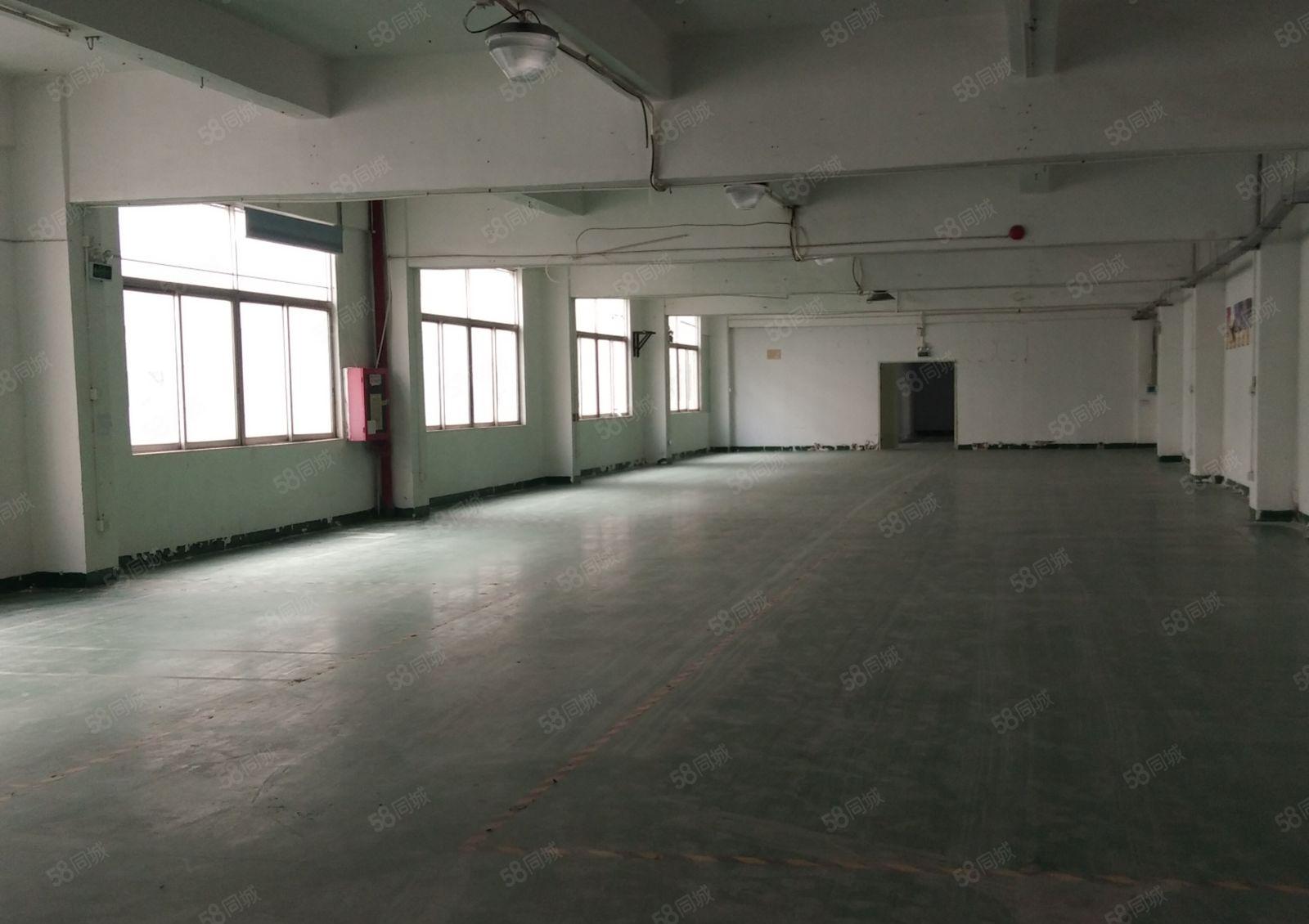 西乡鹤州阳光工业园楼上精装修1705平