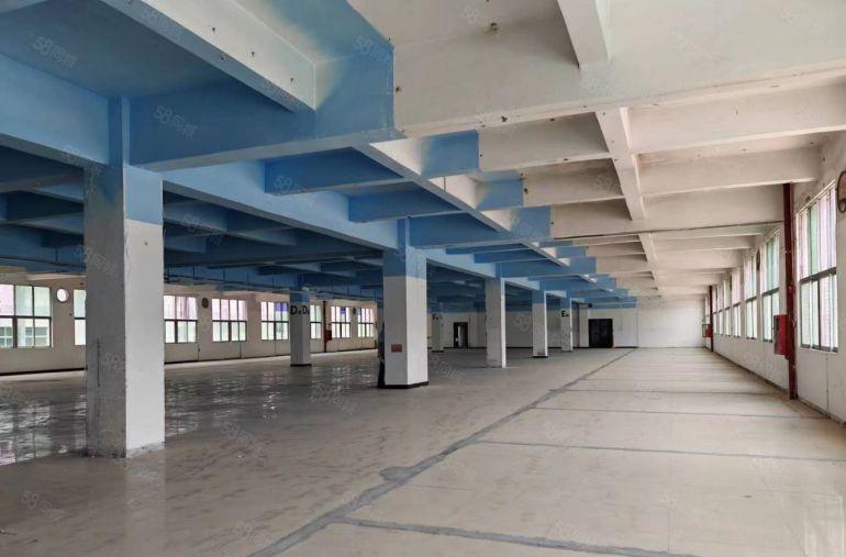 松岗地铁口 洋涌工业区B栋厂房出租1到3层3000平米可分租