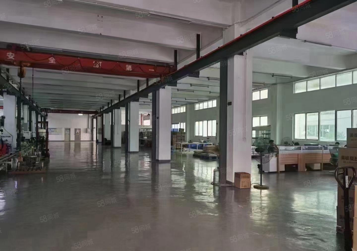 松岗大田洋独门独院精装修6000平大小可分组