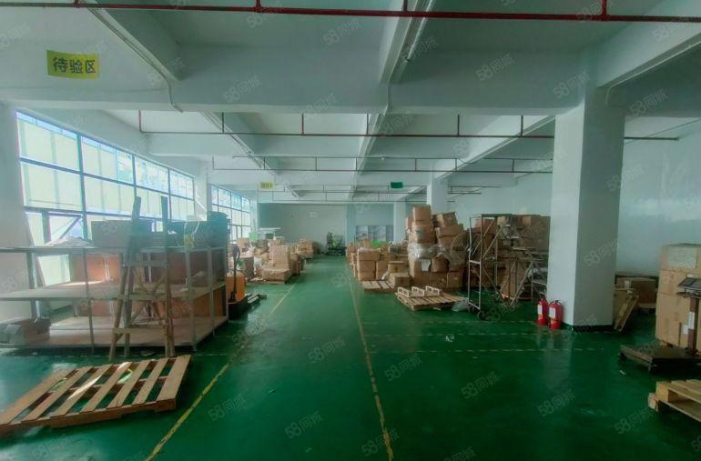 松岗塘下涌附近大型园区二楼800平带装修厂房出租，原房东直租