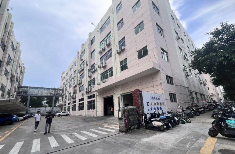 超大空地松岗107国道旁原房东一楼600平带牛角厂房仓库出租