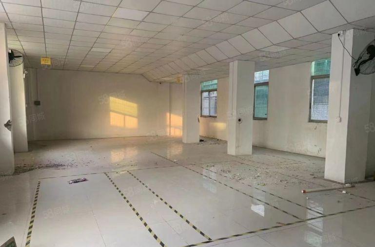 红星宝安大道旁一楼350平精装修厂房出租