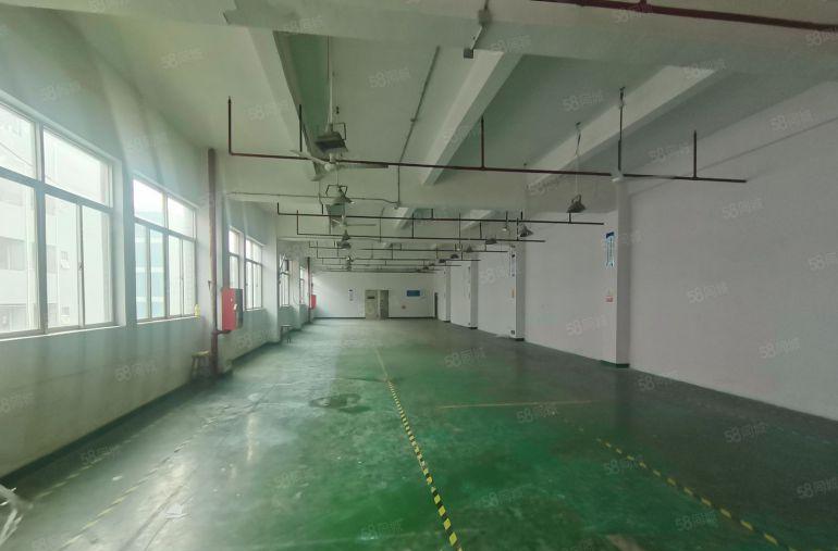 宝安石岩1000平精装修一楼上物流仓库生产办公电商出租分租