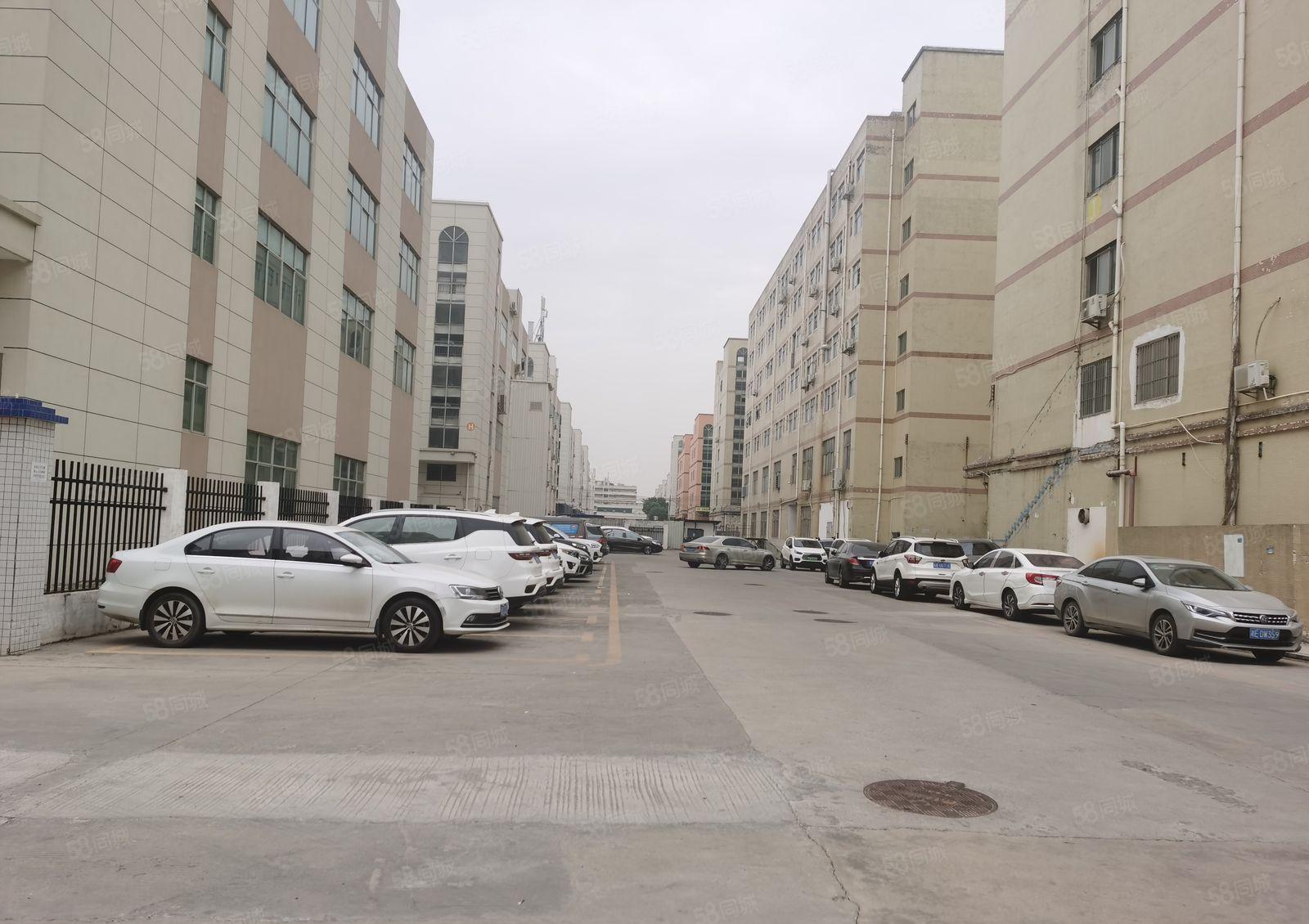 沙井红本大王山工业园区精装修500平米厂房出租可分租仓库