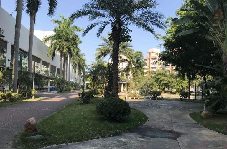 自有宝安花园式红本厂房出租，单层面积4280平方，随时看房