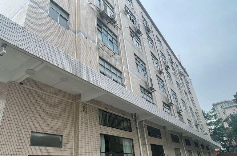 兴东新出原房东一楼320平，靠路边，适合电商仓储，直播等