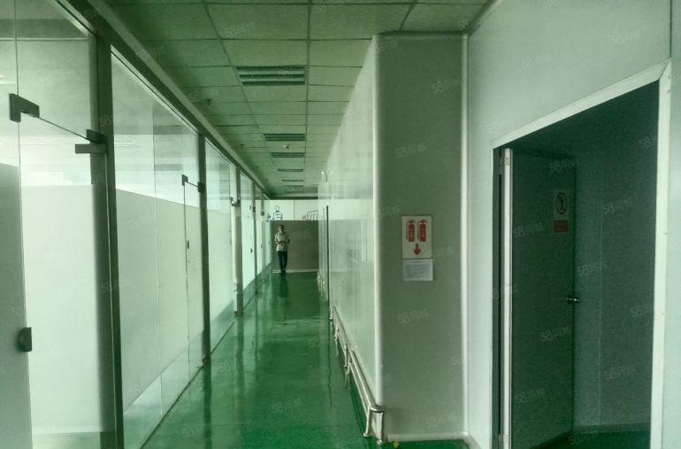 石岩楼上带装修1000平米无尘车间招租，无转让费用