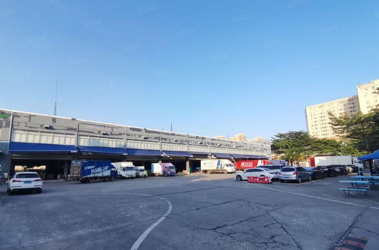 沙井107国道一楼6500平方物流仓库出租500平方起出租