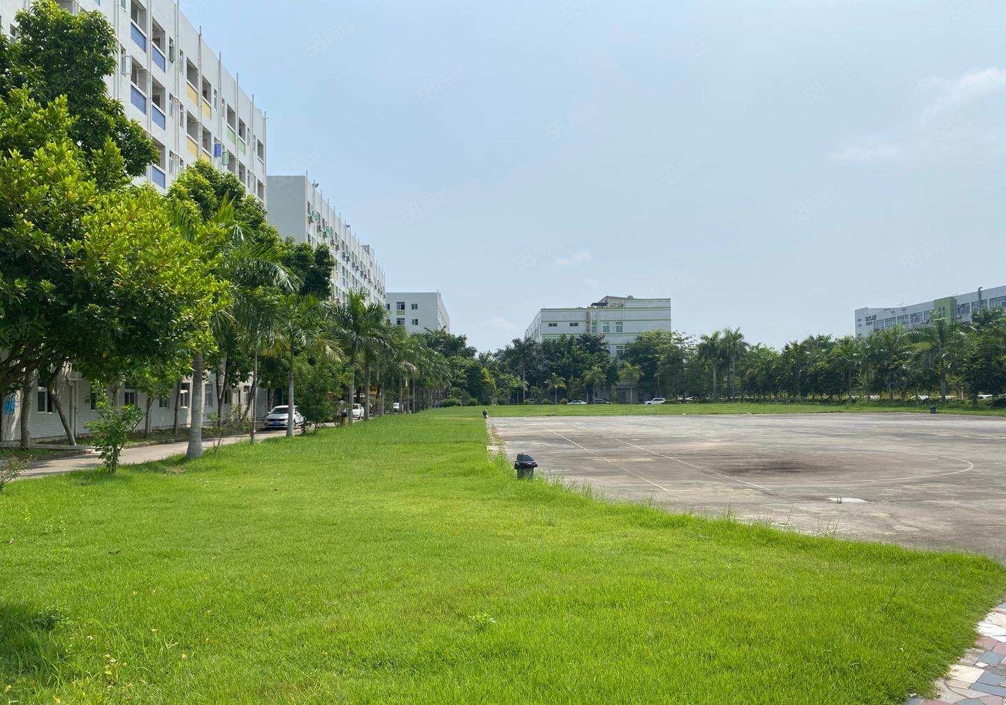 沙井后亭工业园2万平厂房出租区500平可分租园房东高新区.