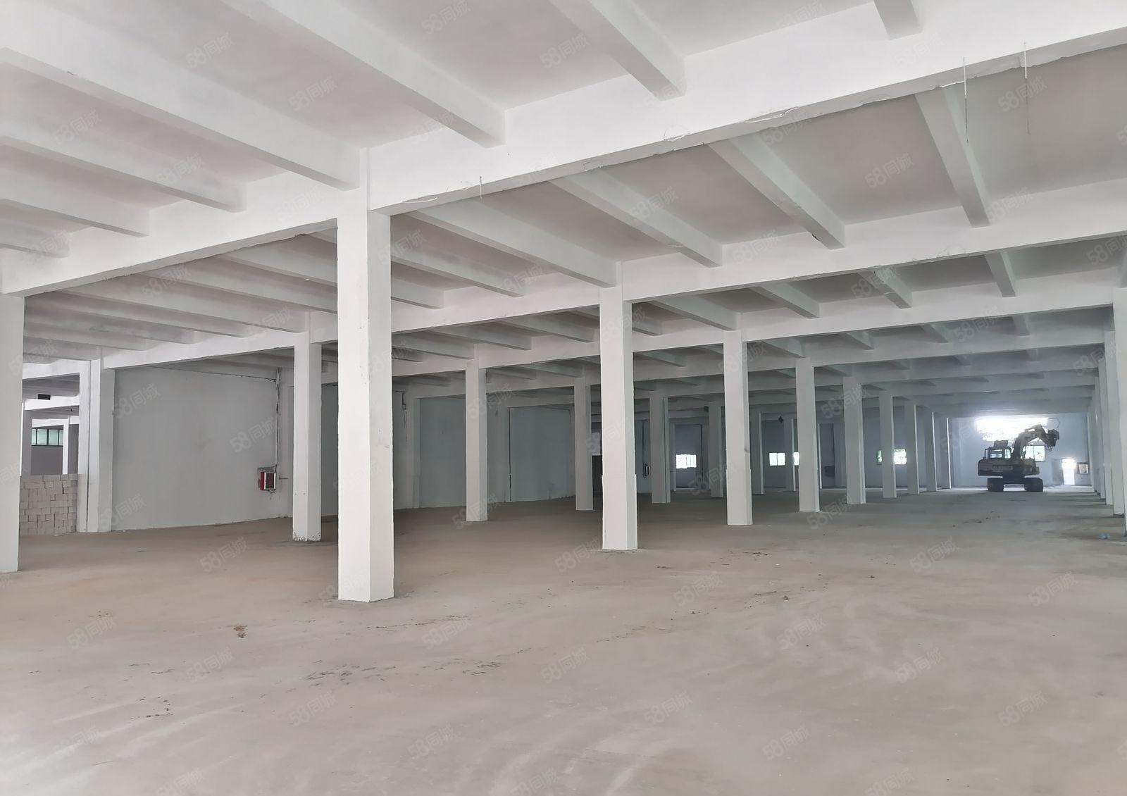 新桥高速口5000平物流仓库出租可分租