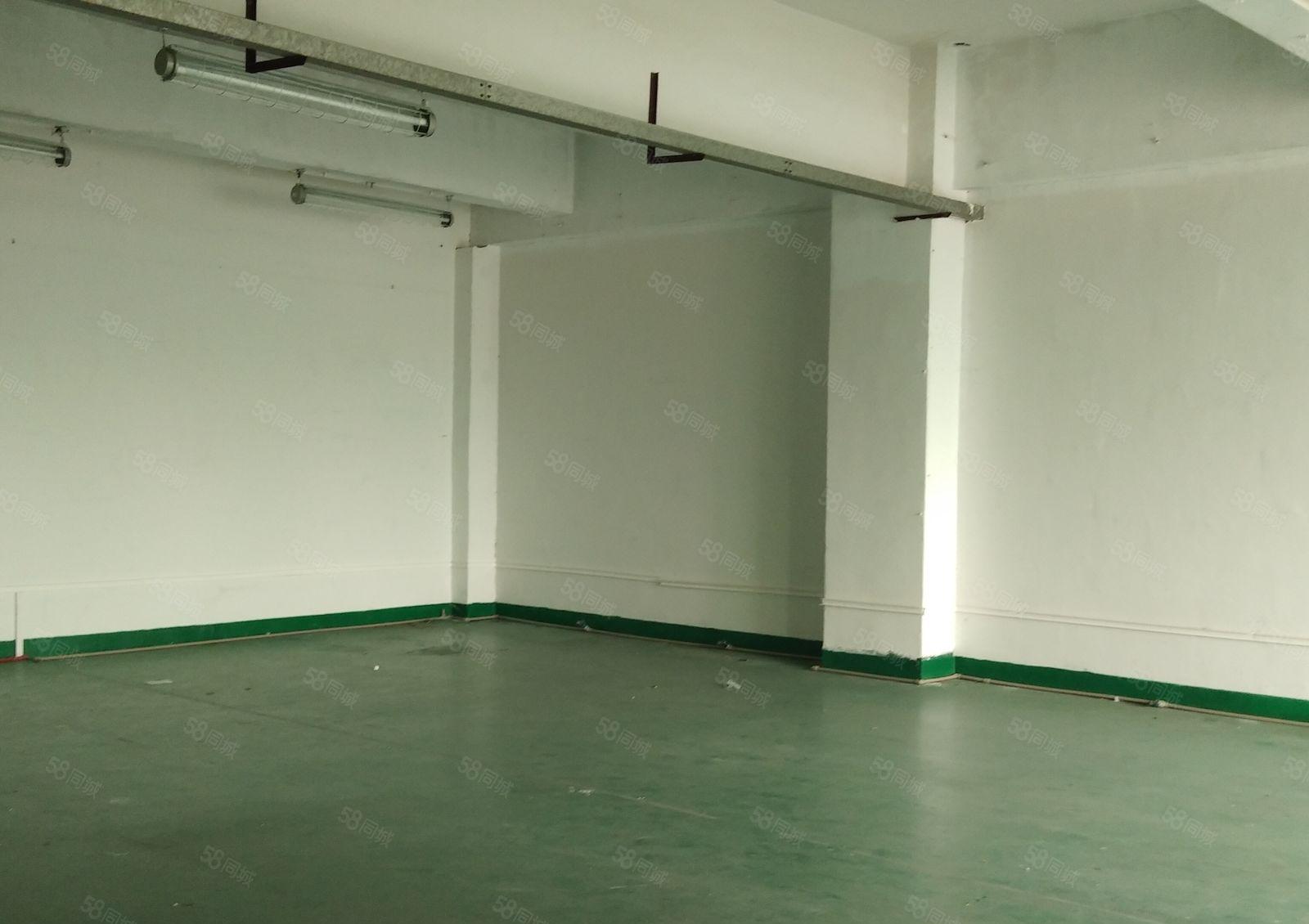 西乡富源工业城楼上精装修210平