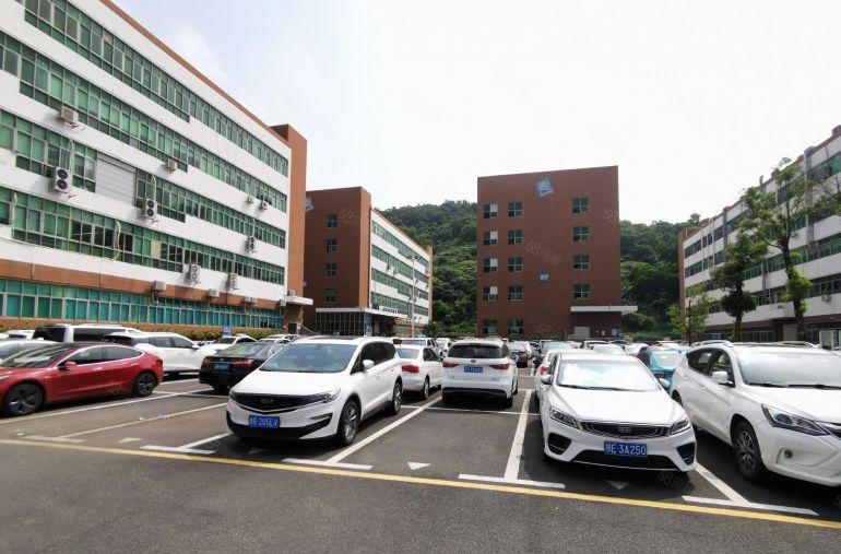 同富裕工业区村委直租1800平带装修厂房 一楼带卸货平台