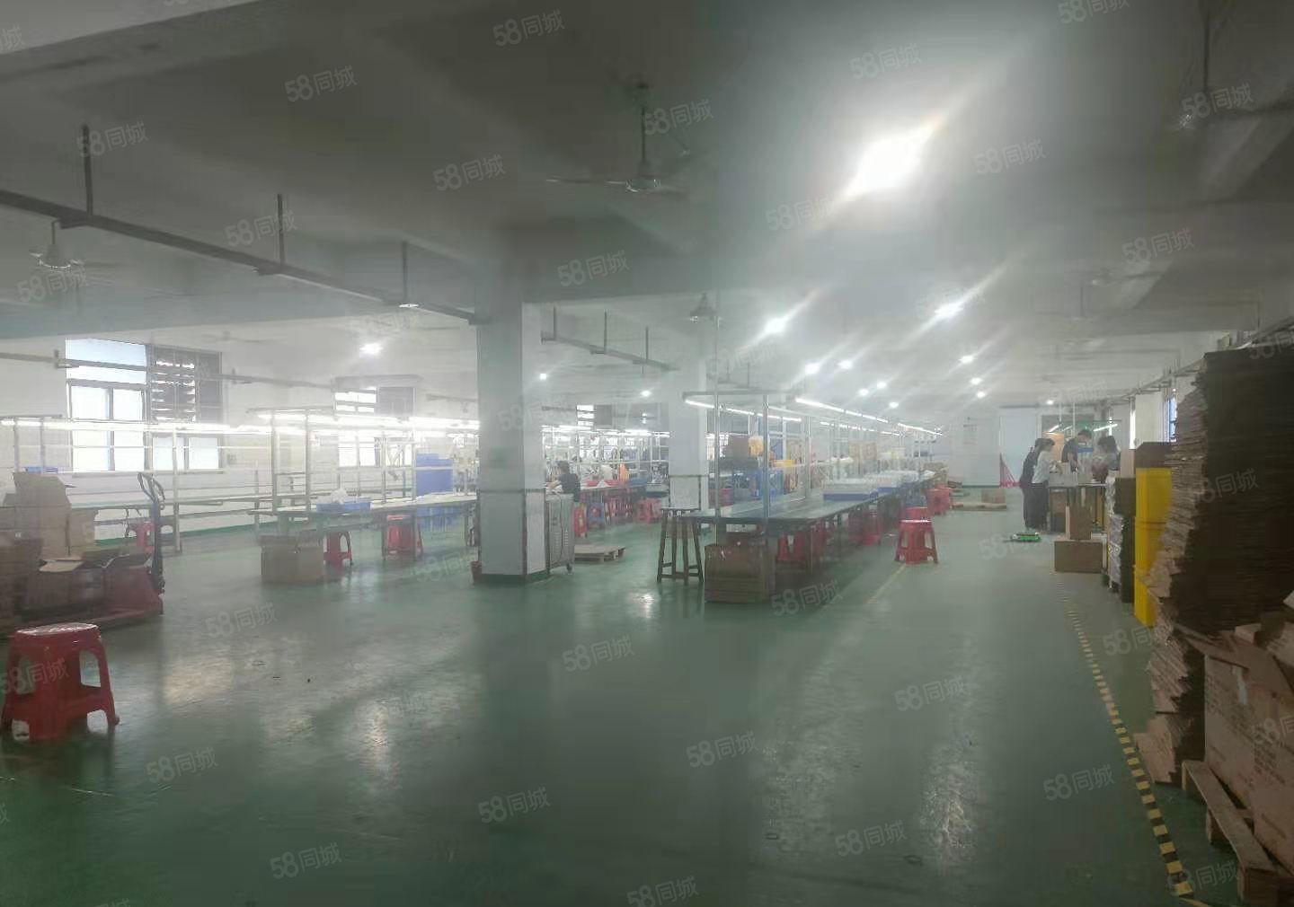 可分租石岩应人石500平1000平2000平精装厂房仓库出租