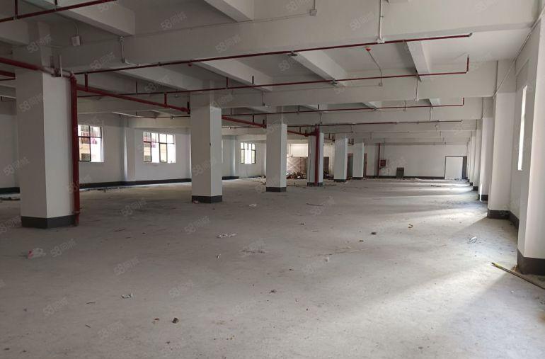 固戌南昌附近高新产业园543平起1200平1900平，无公摊