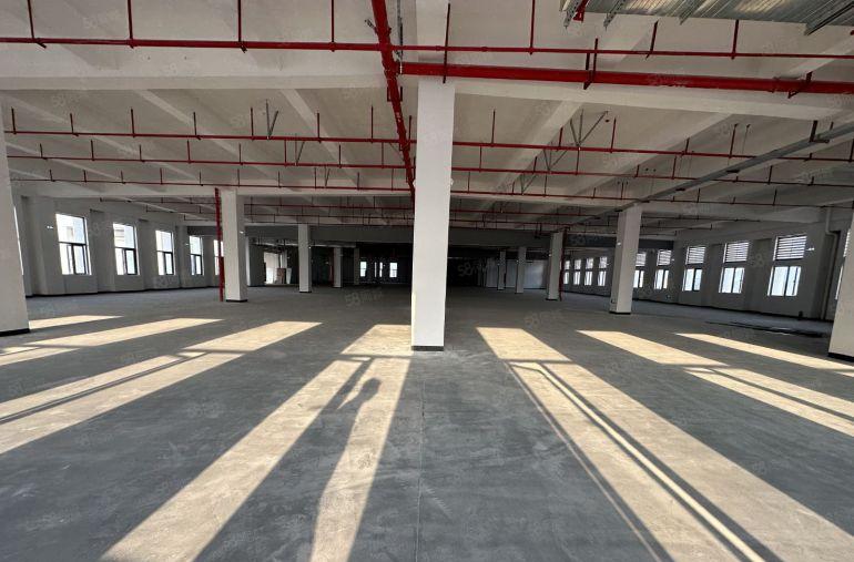 新和桥头塘尾独门独院厂房4800平方出租500起分租