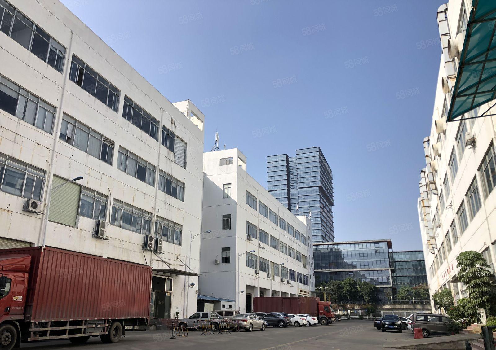 60天免租期松岗工业区新出房源800平精装厂房办公仓库出租