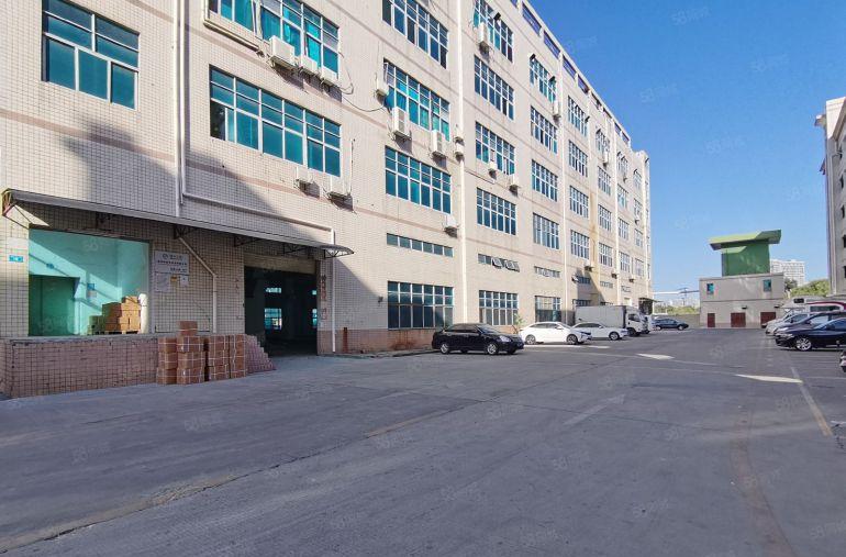 石岩料坑精装厂房出租一二楼5000平分租一楼6米办公仓库招租