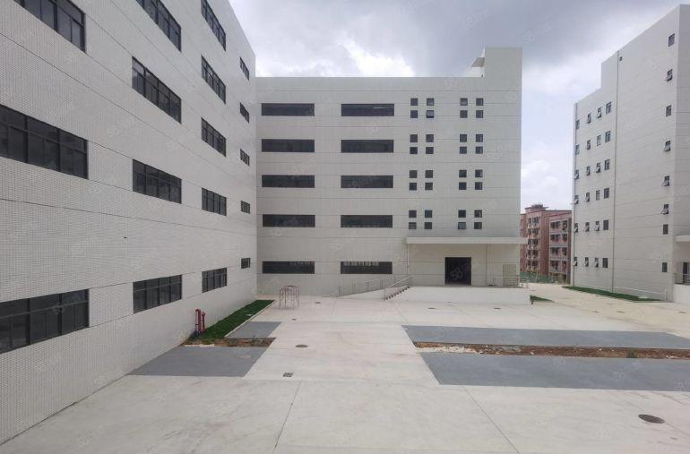 500平起租65000平松岗原房东厂房出租红本过环评实际出租