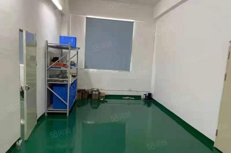 福永地铁口600平精装修厂房出租分租仓库招租独院无尘车间分租