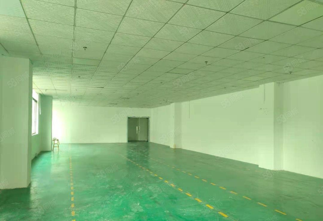 西乡九围2楼厂房仓库招商1800平28元1平可进大车免租期长