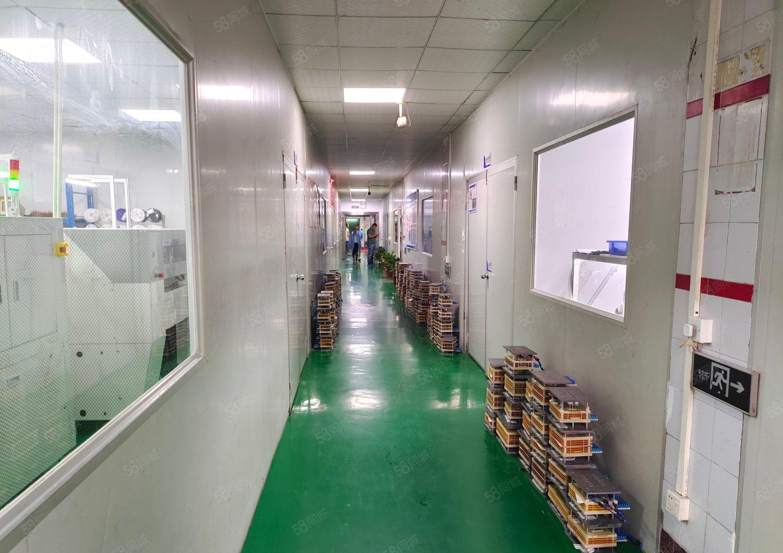 沙井大王山大型工业园新空楼上半层550平精装修厂房