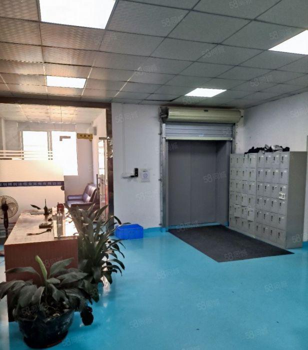 （出租）西乡固戍精装修无尘车间1300平米出租