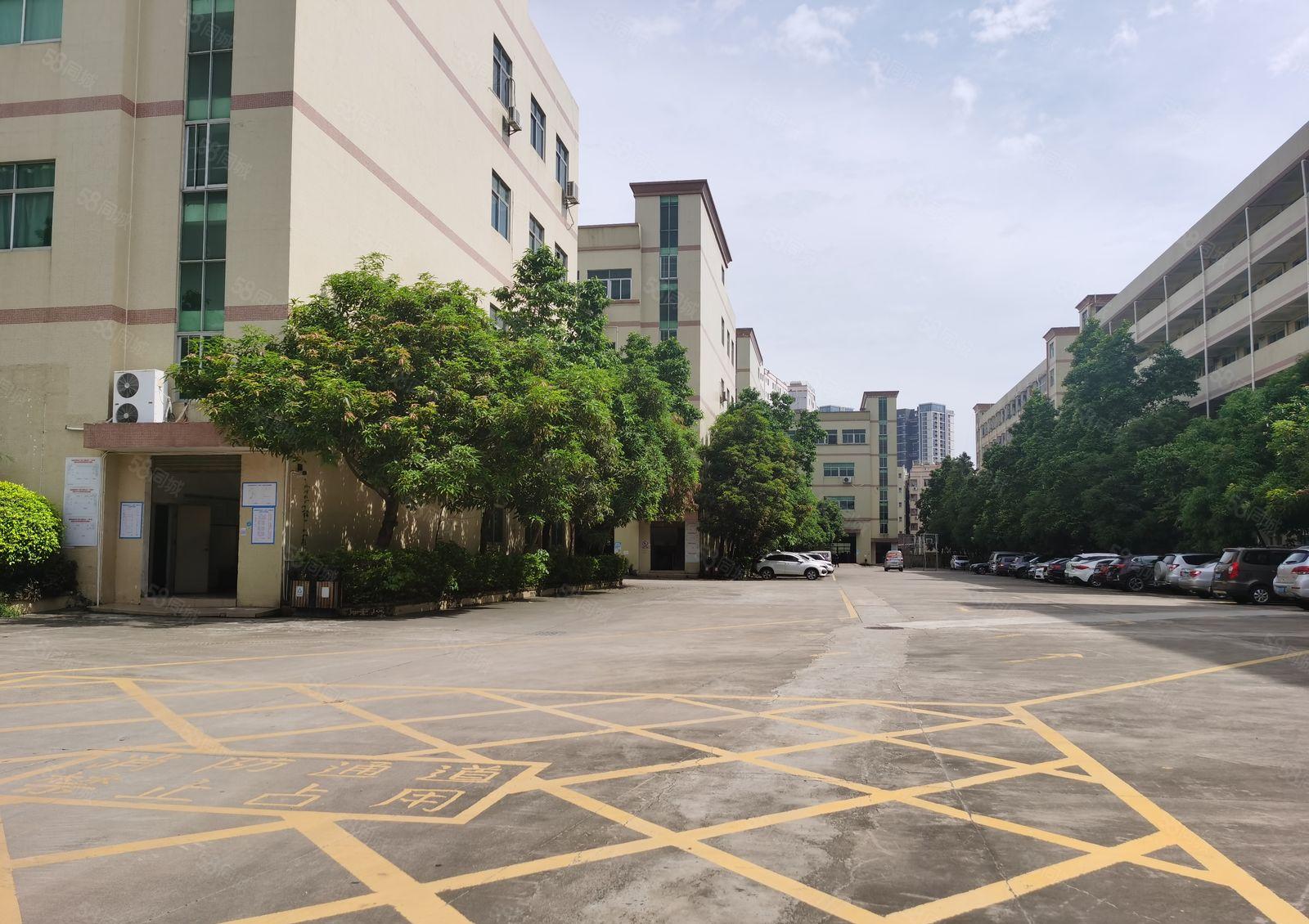 福永凤凰山旭源工业园4楼精装修600平米厂房出分租办公仓库