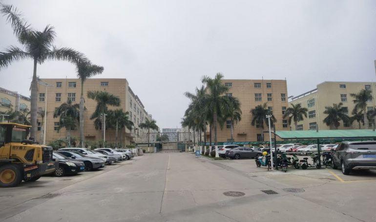 松岗107国道边一楼1200平米长房出租高度6米村委出租