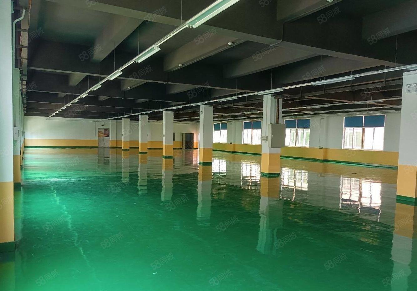 石岩塘头新出楼上1060平原房东精装修厂房仓库出租