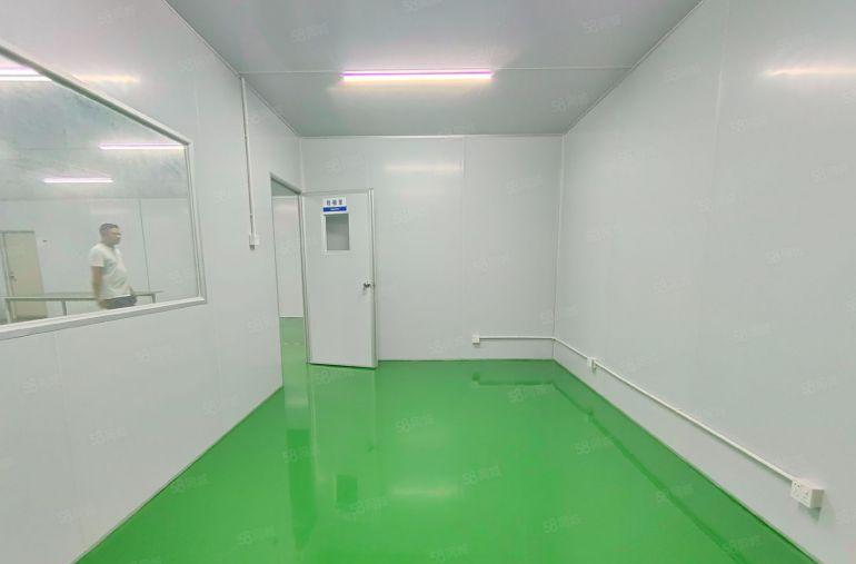 直租。西乡九围，鹤洲恒丰工业城附近，300平无尘车间厂房出租